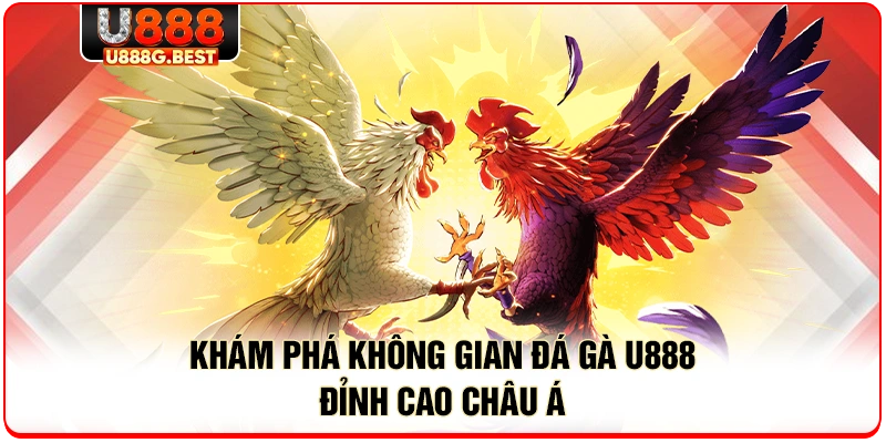 Khám phá không gian đá gà U888 đỉnh cao châu Á